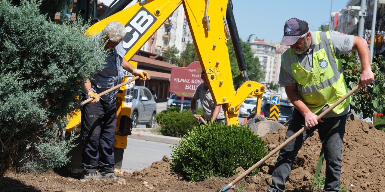 Eskişehir'de kuru peyzaj uygulaması devam ediyor
