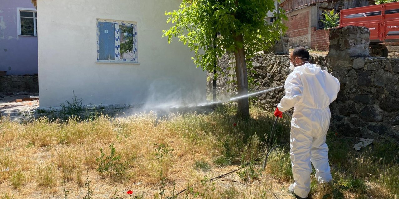 İnönü'de ilaçlama çalışmaları sürüyor