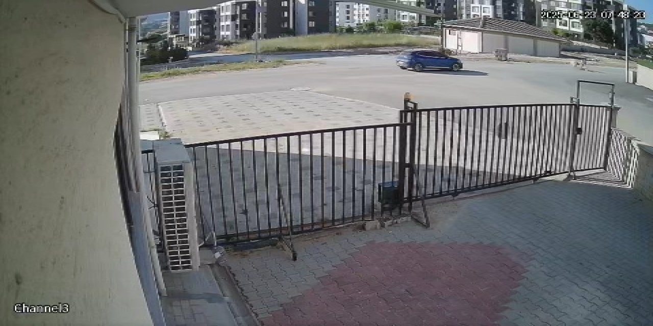 Genç kadın ve köpeği 2 kangal köpeğinin saldırısına uğradı