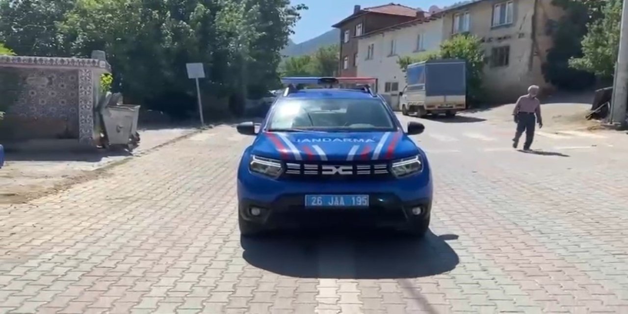 Eskişehir'de jandarmadan orman yangınlarına karşı uyarı
