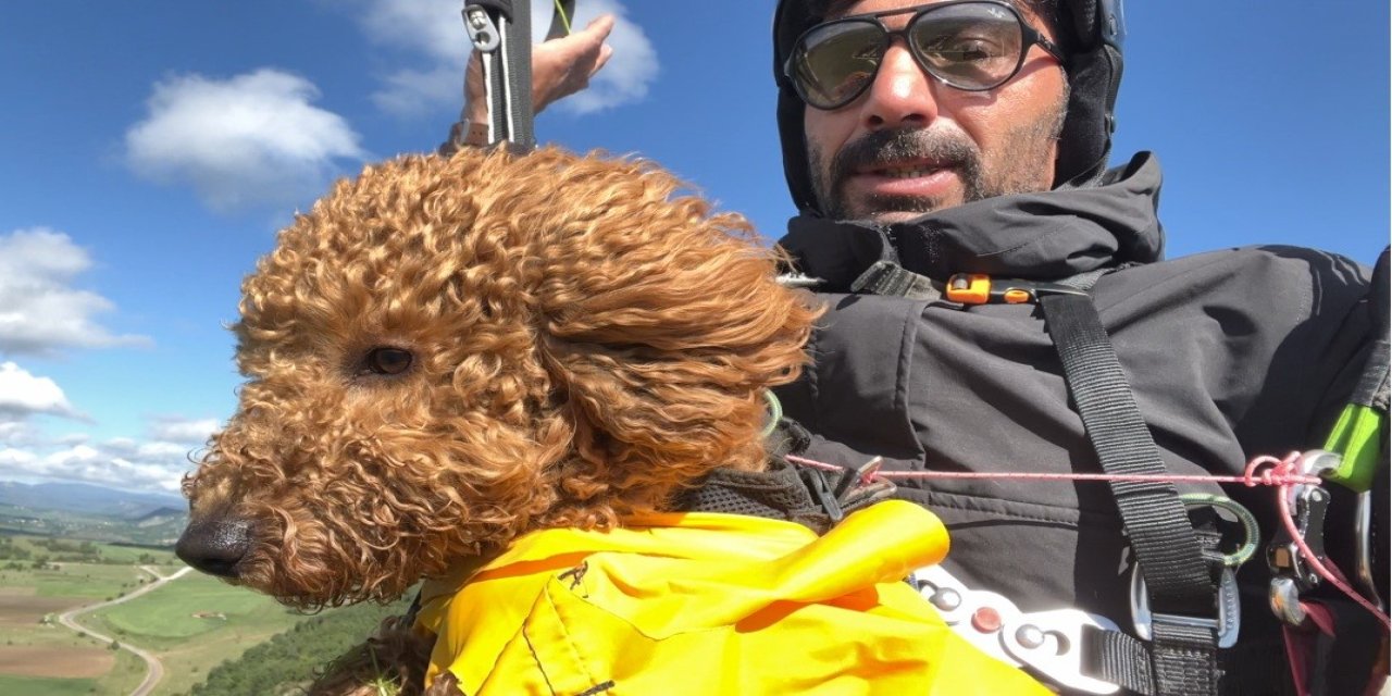 Eskişehir'de Toby isimli köpek yamaç paraşütü ile atladı