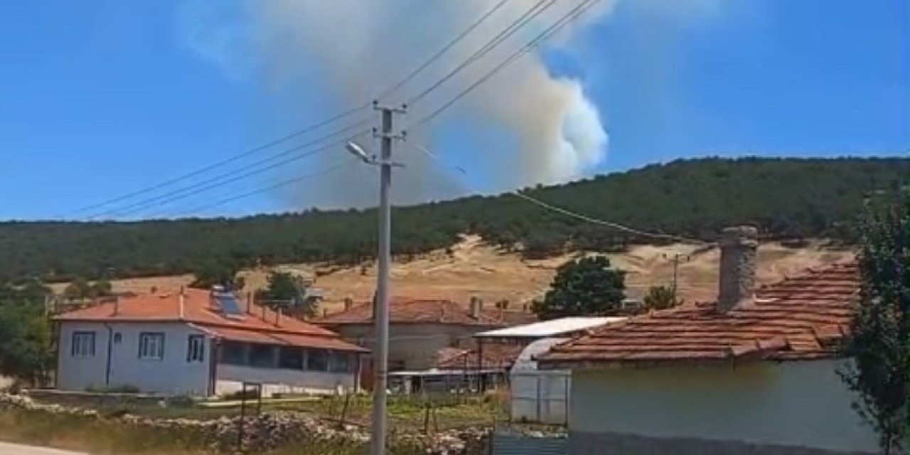Seyitgazi'de orman yangını paniği!