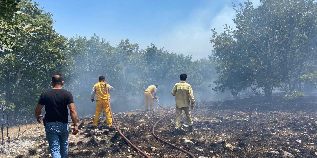 Seyitgazi'de çıkan yangına ekipler müdahale ediyor
