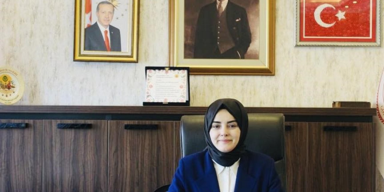 Yangınlar sonrası inceleme yapılıyor