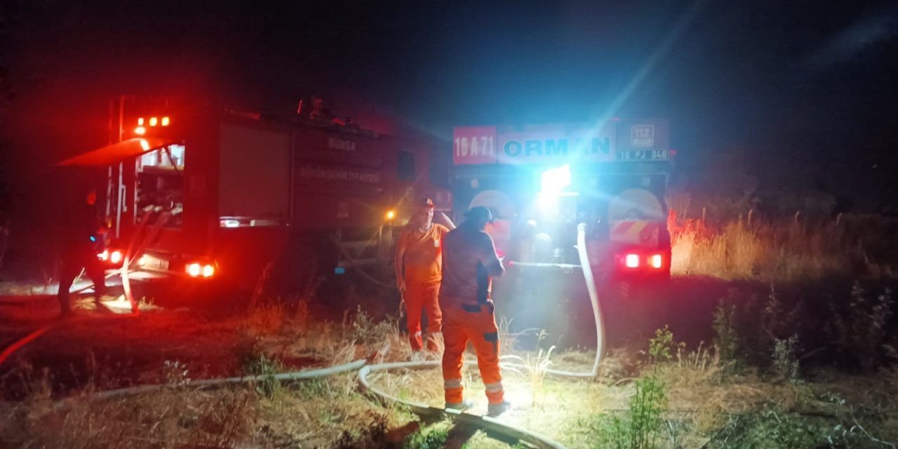 Ceviz bahçesi ve ormanlık alandaki ağaçlar yandı