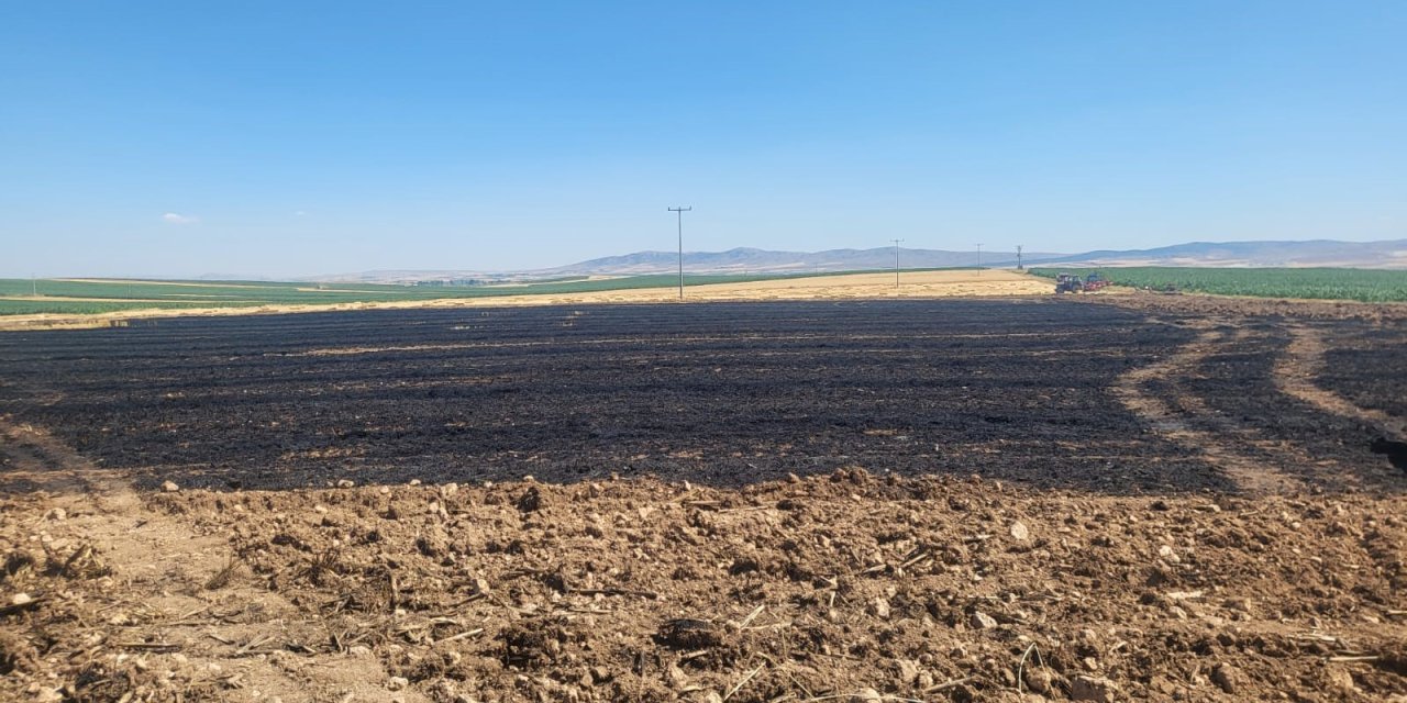 Eskişehir'de buğday tarlasında çıkan yangın panik yarattı