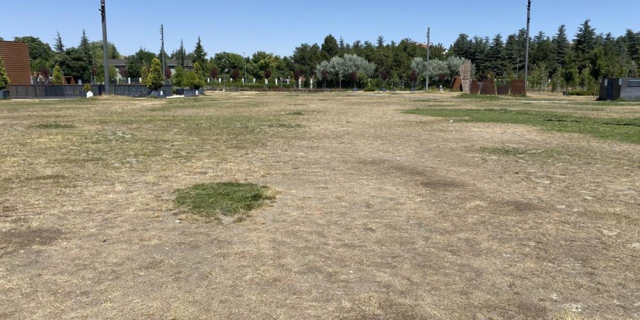 Eskişehir Millet Bahçesi dökülüyor: Yemyeşil başladı toprağa dönüştü