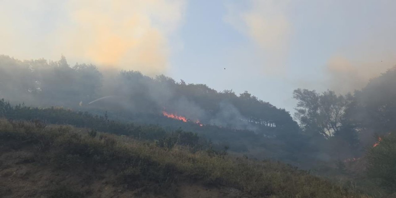 Bursa’da orman yangını