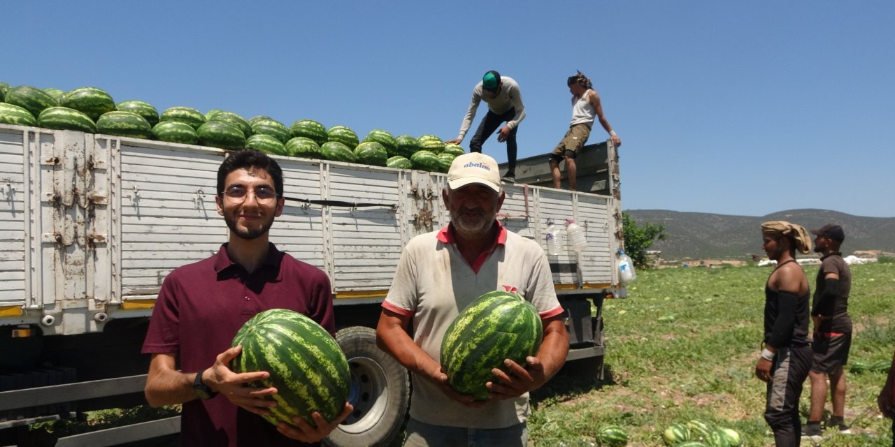 Ünlü karpuzun üreticisi bu yıl fiyatlardan memnun değil