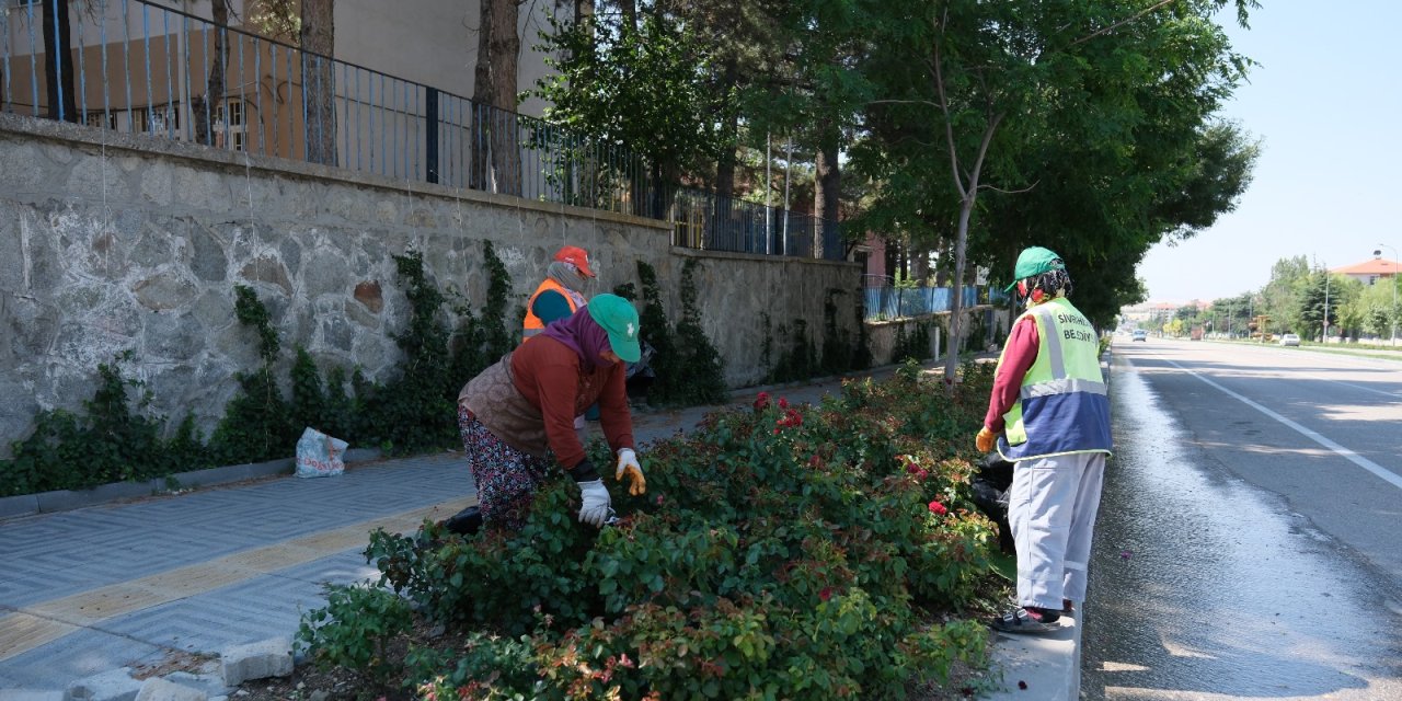 Eskişehir'in o ilçesinde başladı: İlçesinin dört bir yanında devam ediyor