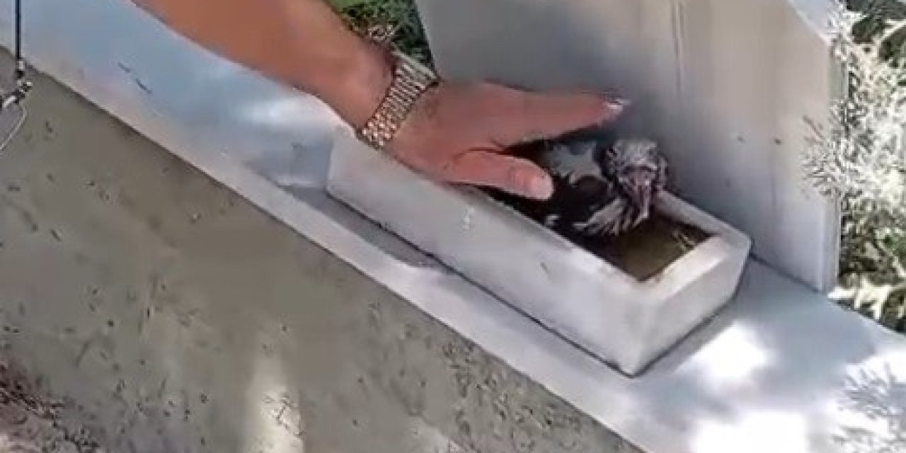 Karganın insanlarla kurduğu bağ görenleri hayrete düşürdü