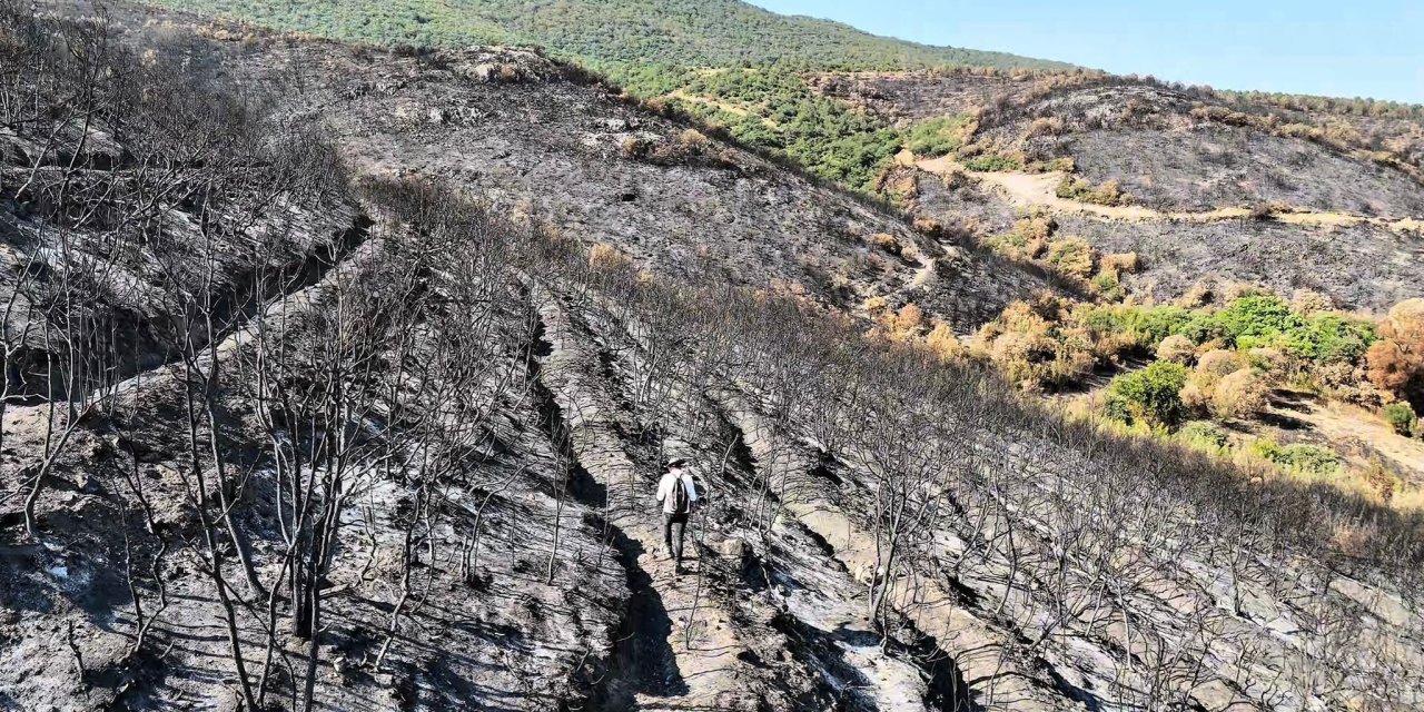 Bilecik'te orman yangını sonrası bir köy adeta kül oldu