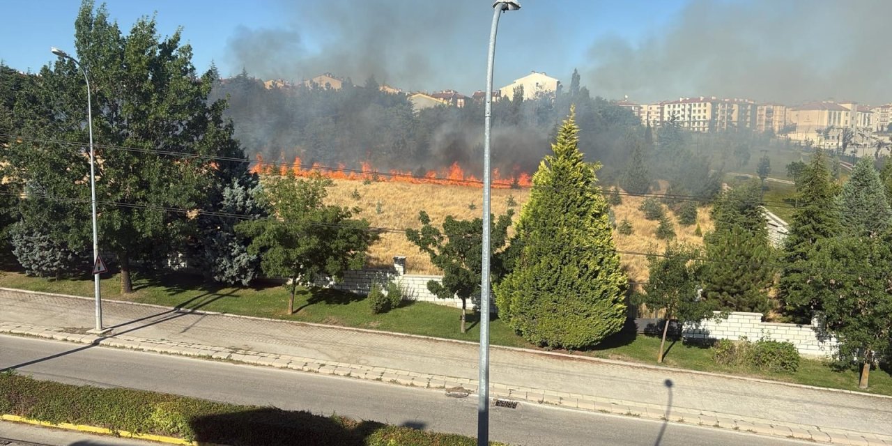 Parkta çıkan yangın paniğe sebep oldu