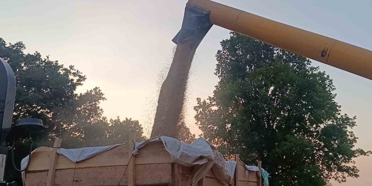 Tarım şehri Bilecik’te arpa ve buğday bereketi