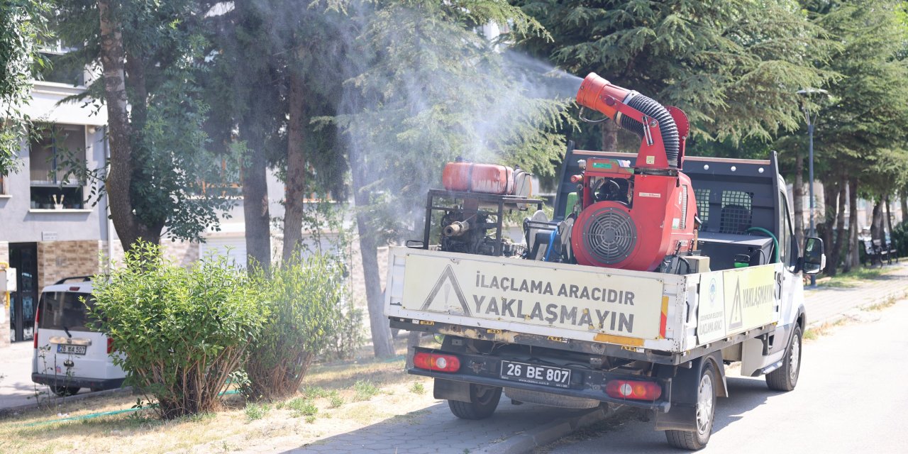 Odunpazarı'nda kene tehlikesine karşı ilaçlamalar sürüyor