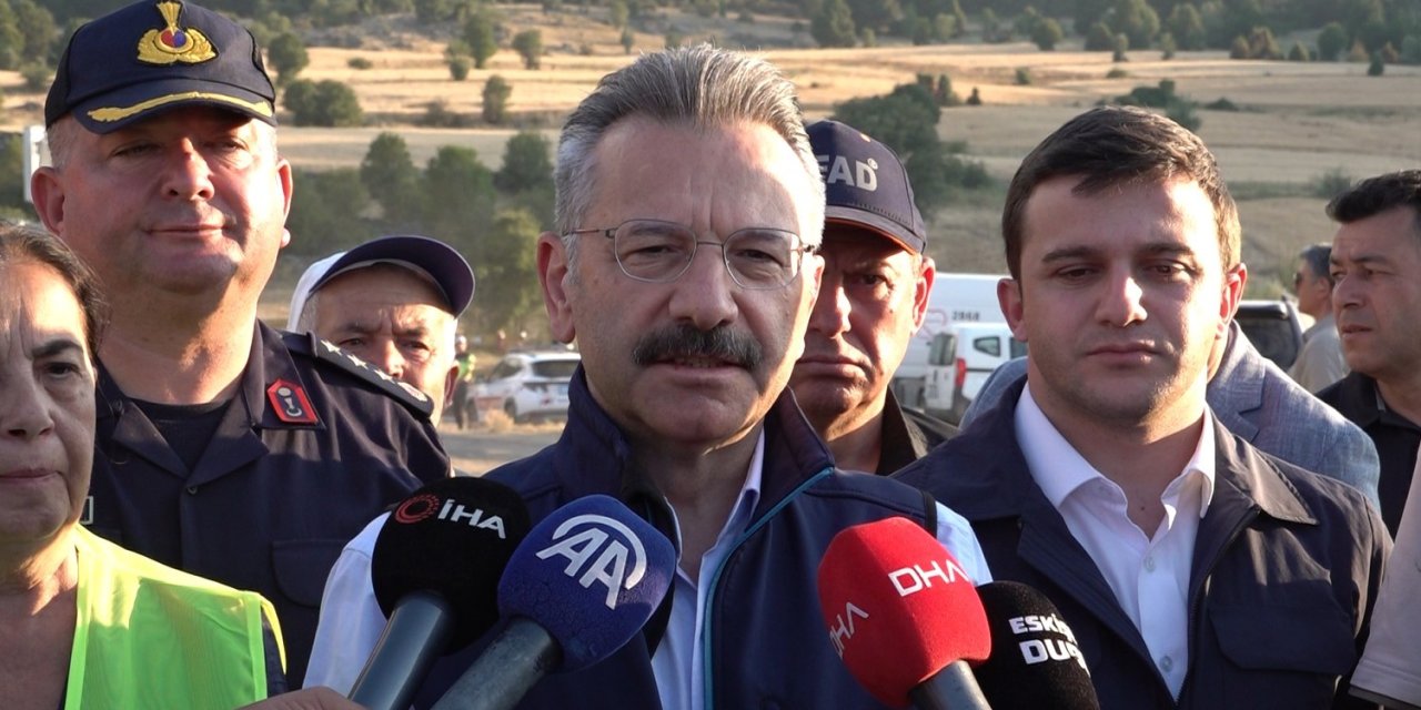 Eskişehir'de 60 hektarlık alan yandı!