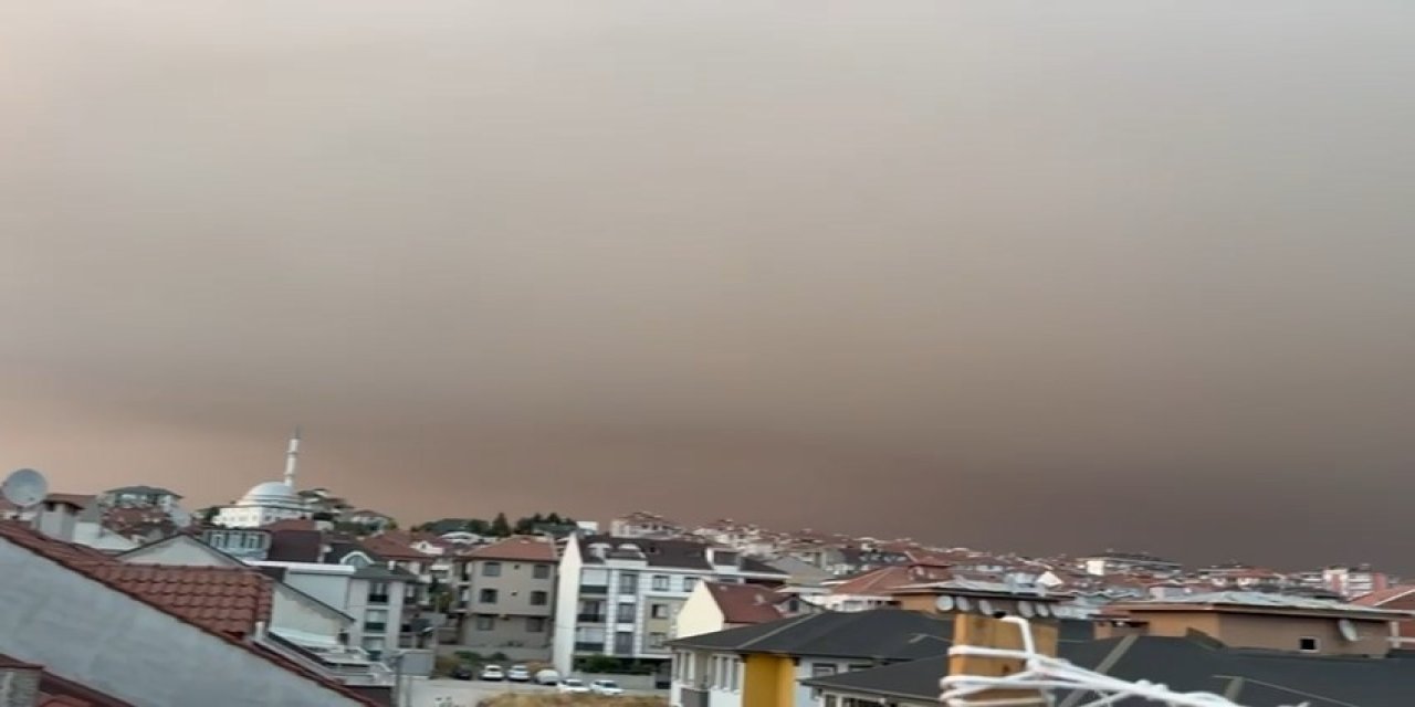 Eskişehir'de yaşanan orman yangınları çevre illeri etkiledi