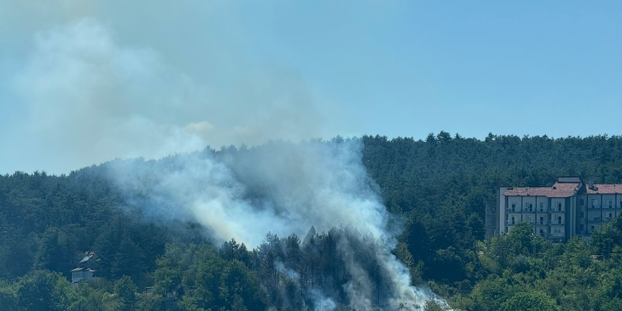 Bolu’da çıkan yangın korkuttu