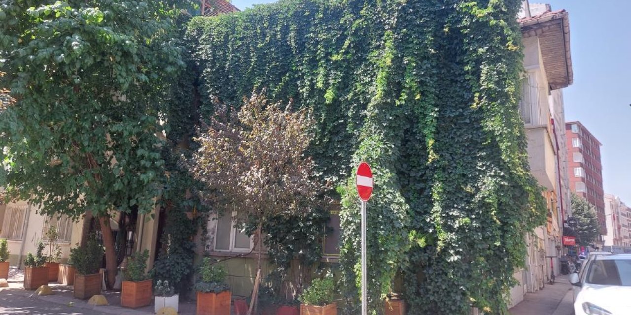 Eskişehir’de doğa, evle bütünleşti