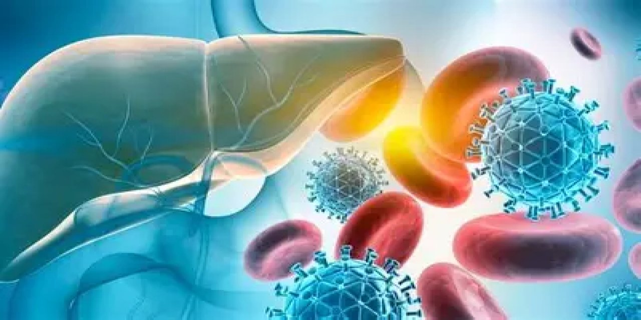 “Hepatit B karaciğer kanserine yol açabilir”