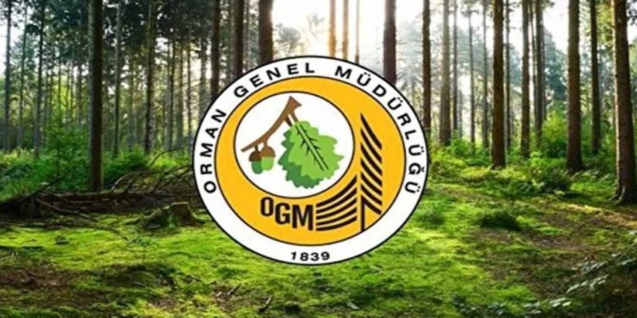 OGM’den Eskişehir yangını hakkındaki iddialara yanıt