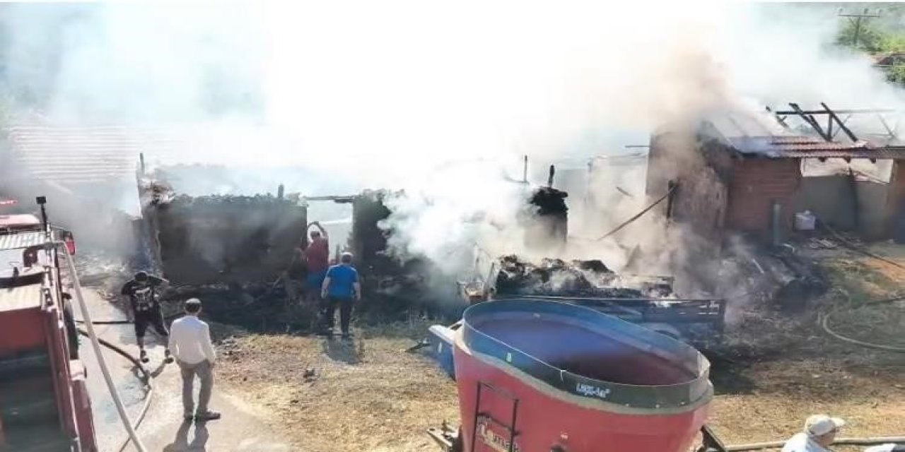 Bilecik'te yangın!
