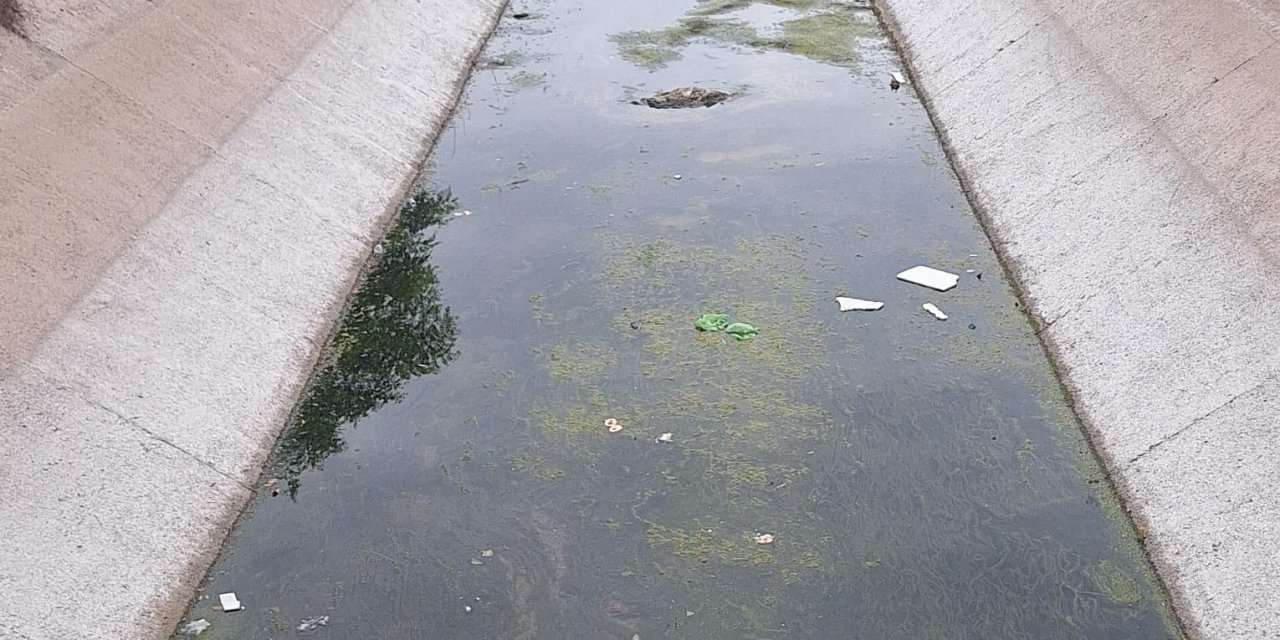 Eskişehir'e yakışmayan görüntü tepki çekiyor
