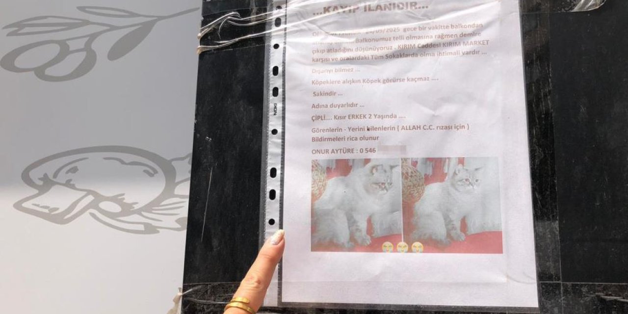 Sokak sokak kaybolan kedisini ararken duyarsız vatandaşların tavrına üzüldü