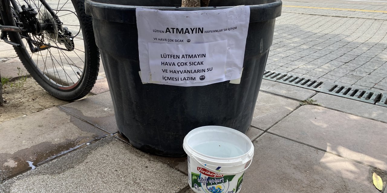 Eskişehir'de hayvanseverden vicdanlı uyarı