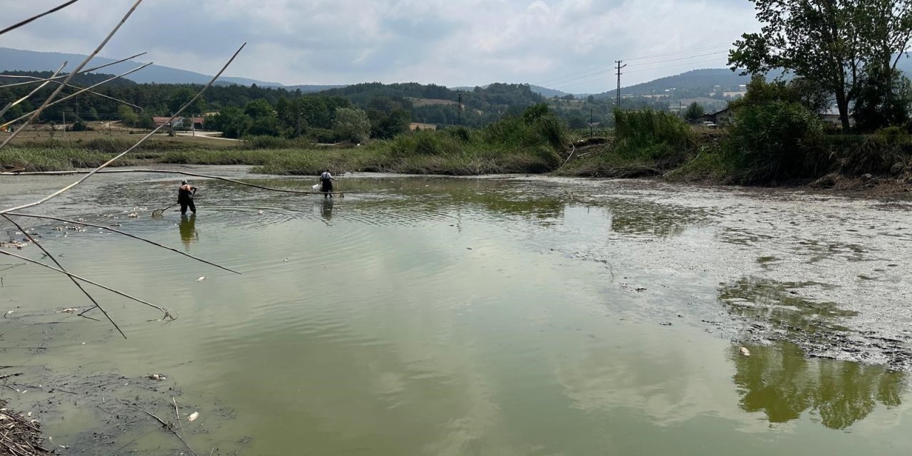 Kuruyan göletten onlarca balık kurtarıldı