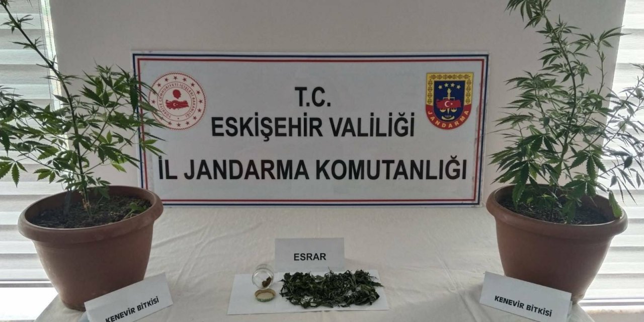 Eskişehir’de evde kenevir yetiştiren şahıs yakalandı