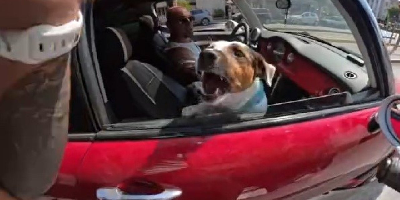 Eskişehir'de köpek sevmek isteyen motosikletlinin zor anları