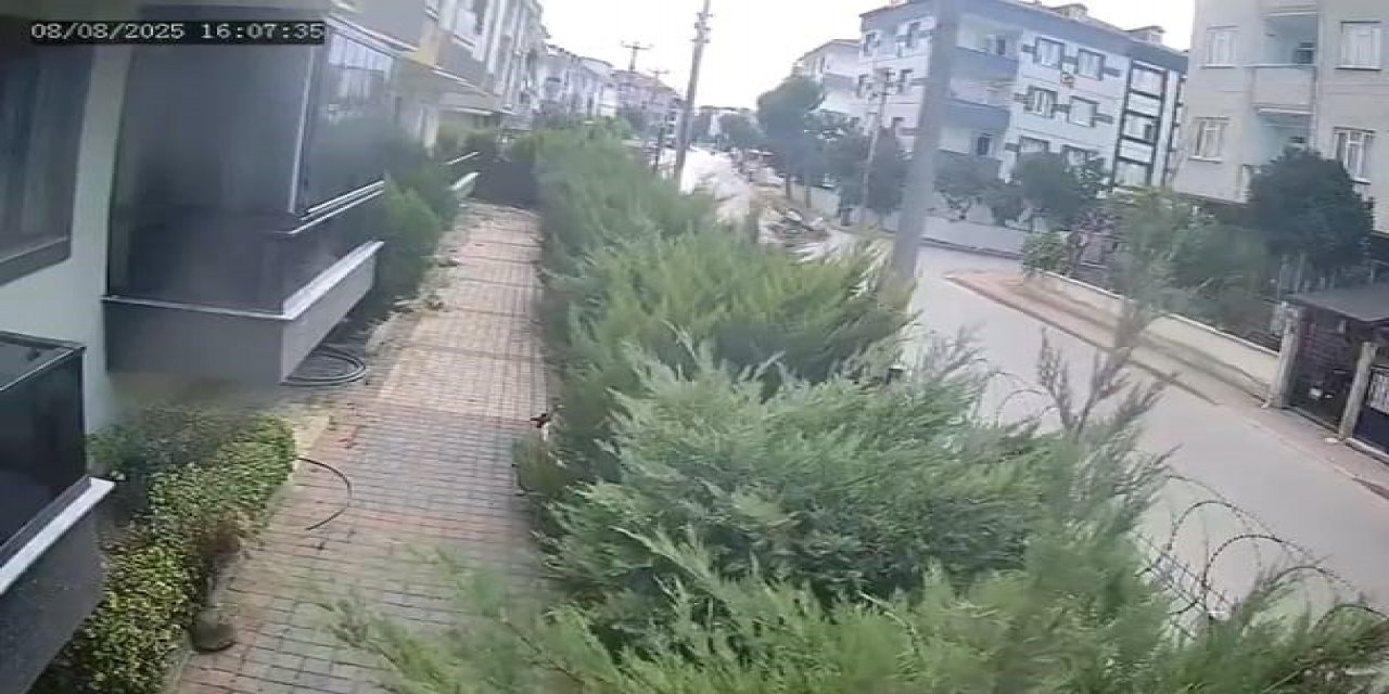 Bursa'da korkutan kaza: 3 yaralı