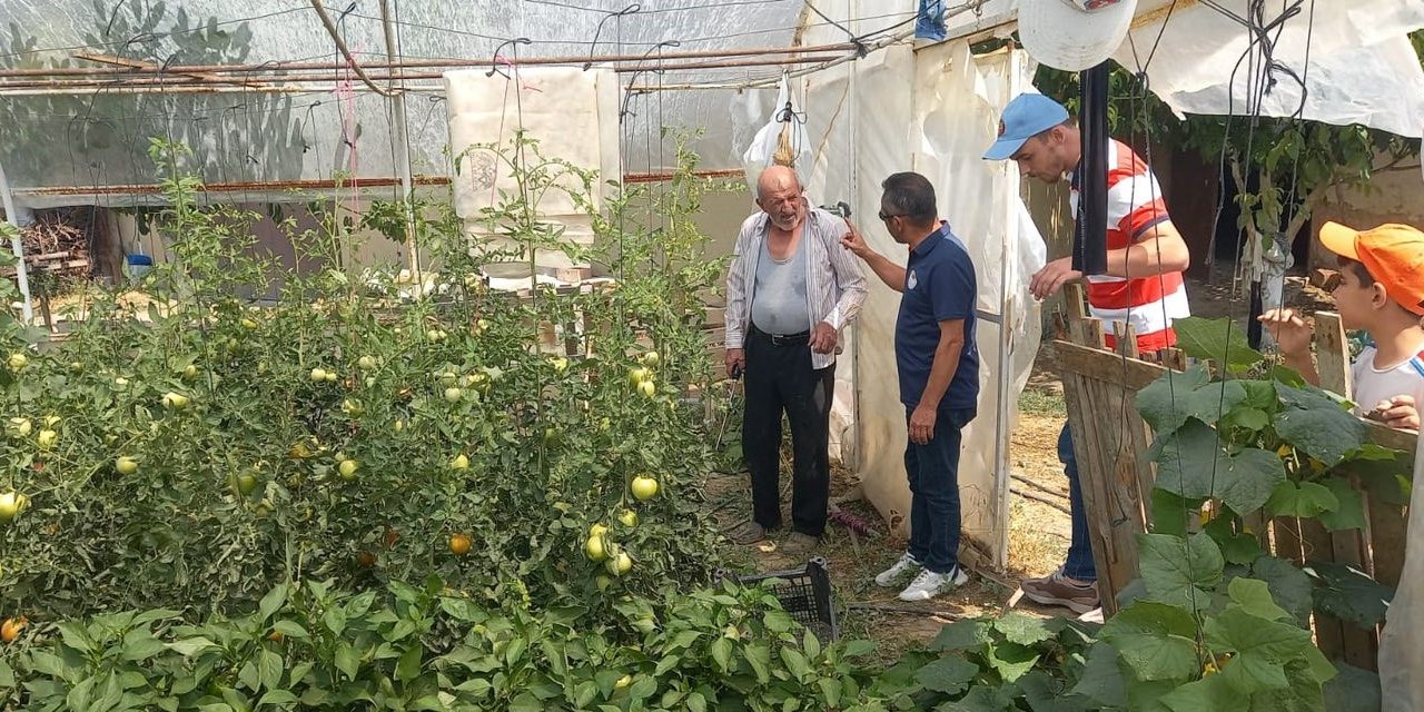 Bitki hastalık kontrolleri sürüyor