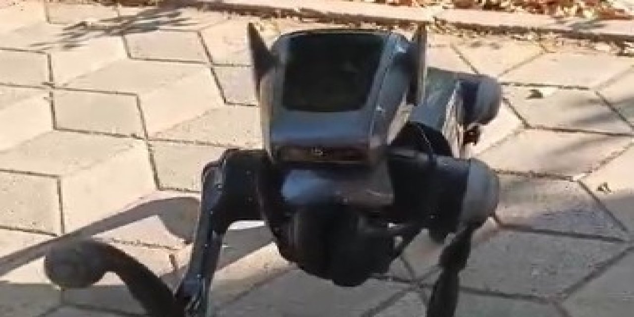 Kent merkezindeki robot köpek görenleri hayrete düşürdü