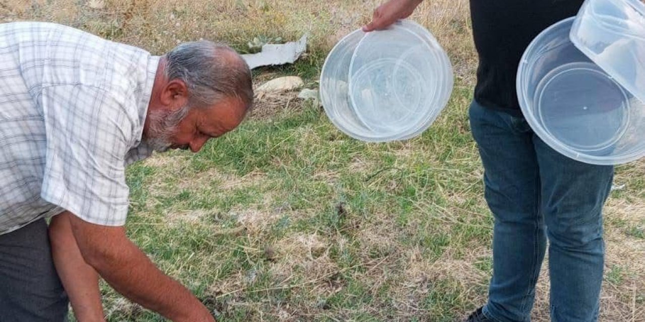 Mahalle muhtarından sokak hayvanlarına yönelik örnek çalışma