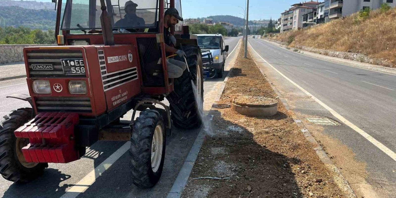 Söğüt’te refüjler ve yeşil alanlar yenileniyor