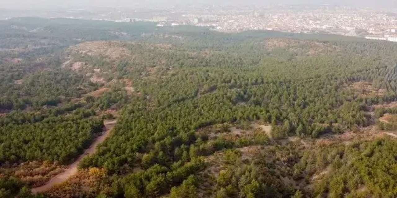 Büyükşehir gençleri doğa için harekete çağırıyor