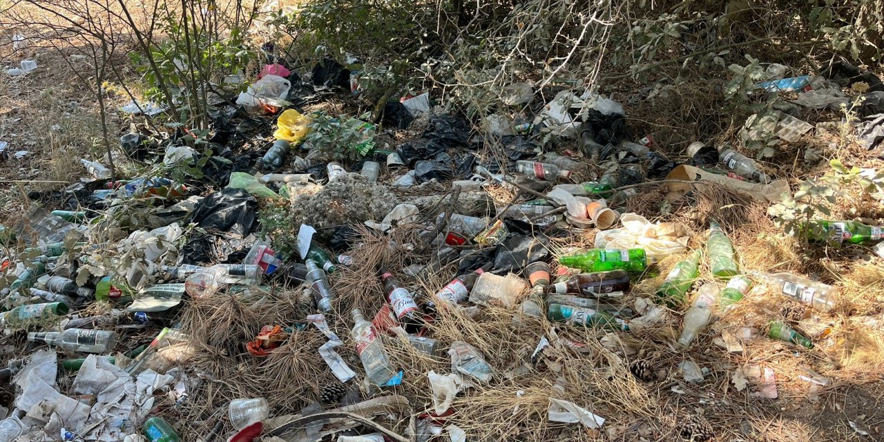 Ormanlık alanı adeta çöplüğe çevirdiler