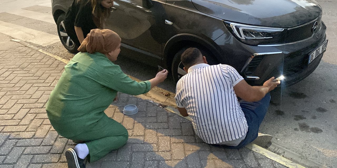 Eskişehir'de kaputta mahsur kalan kedi için saatlerce uğraştılar
