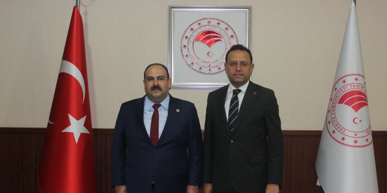 Başkan Hamamcı yeni projeler için Ankara’da istişarelerde bulundu