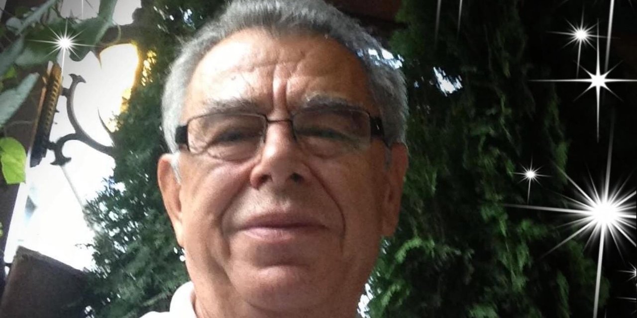 Bir koca çınar daha devrildi