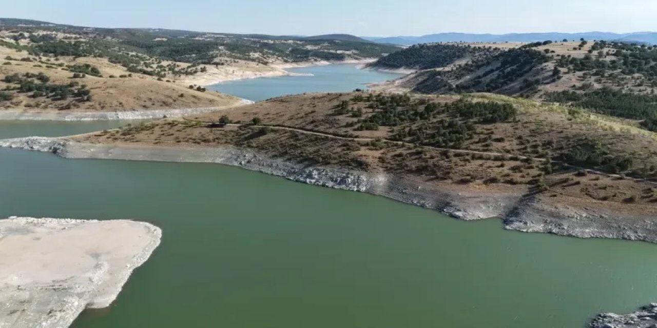 Bu mu tarım politikanız?