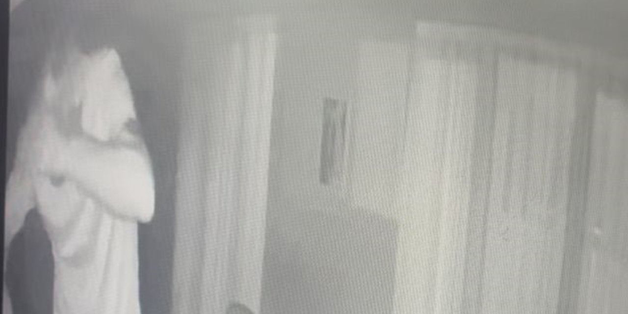 Hırsız önce kameraya sonra polise yakalandı