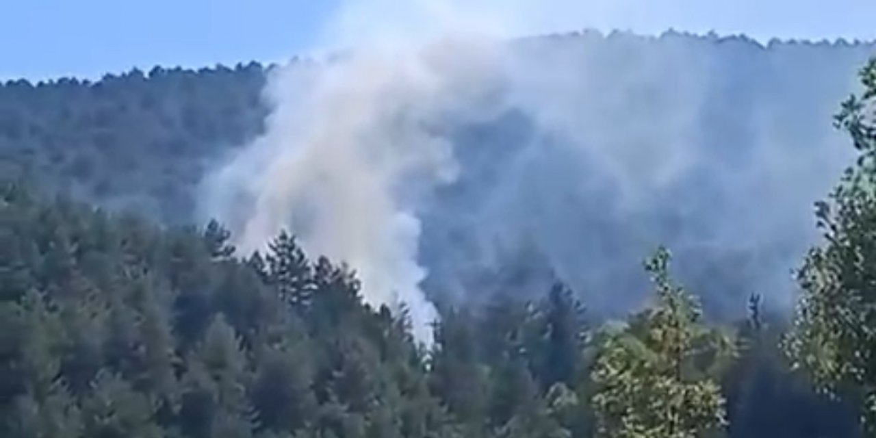 Bolu'da yangın paniği
