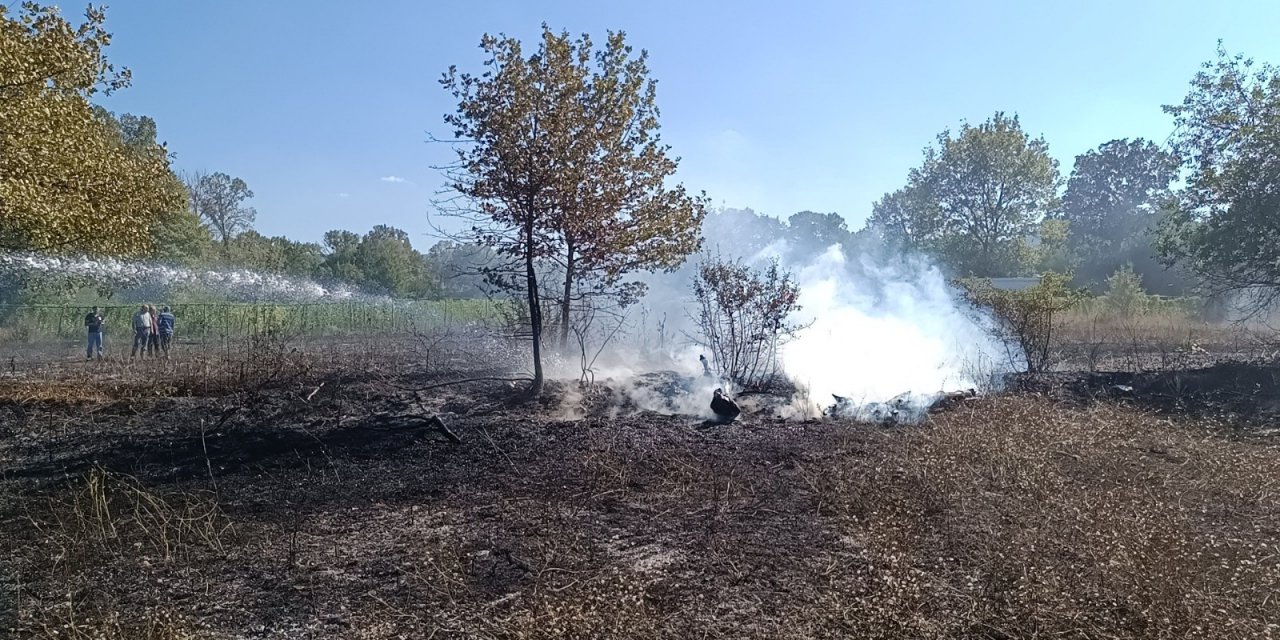 Bilecik’te korkutan yangın