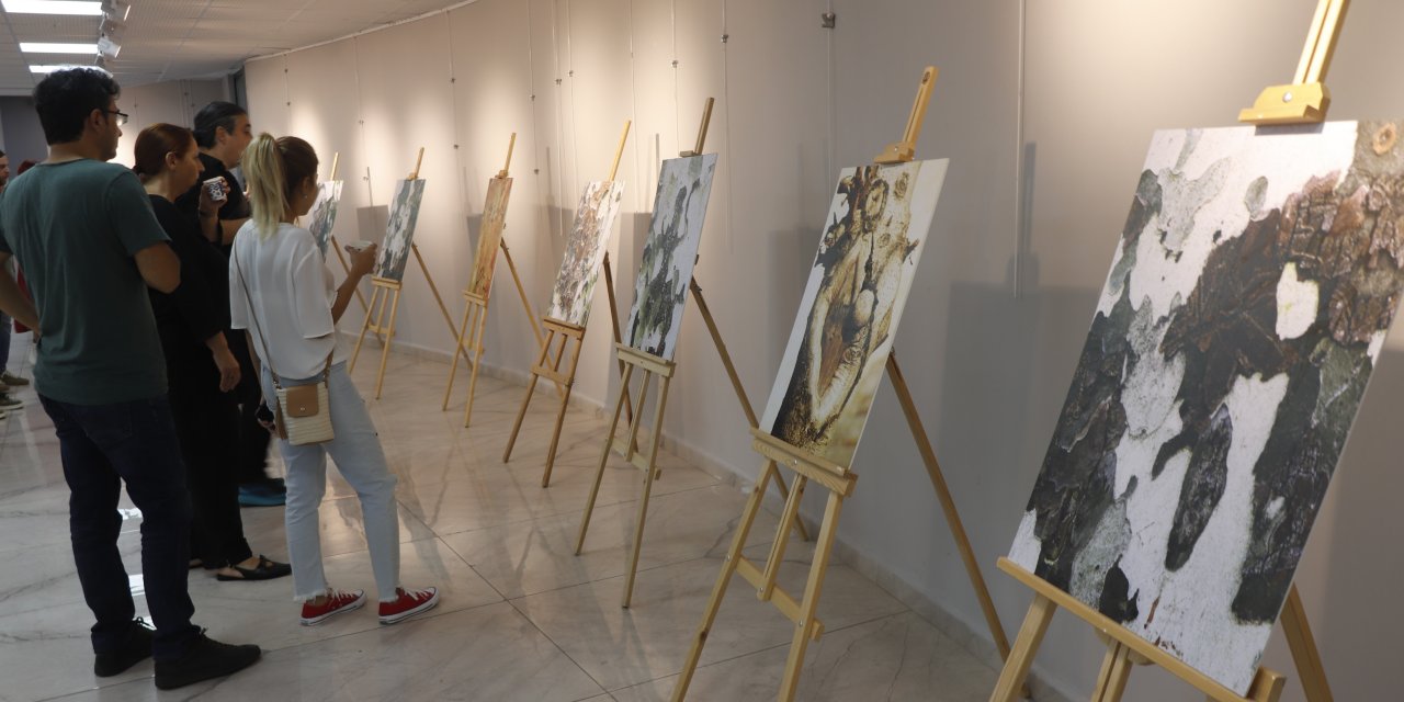 "Doğadan İkonlar" sergisi Eskişehir’de sanatseverlerle buluşacak