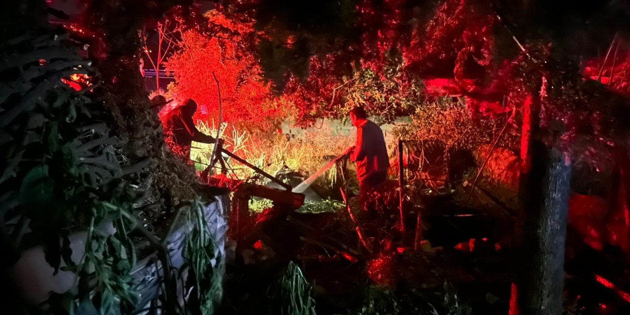 Bilecik'te çıkan yangın panik yarattı