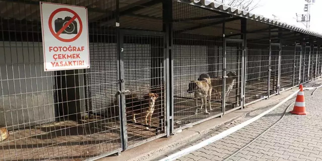 ‘’Hizmeti engelleme’’ dışında ne denilebilir