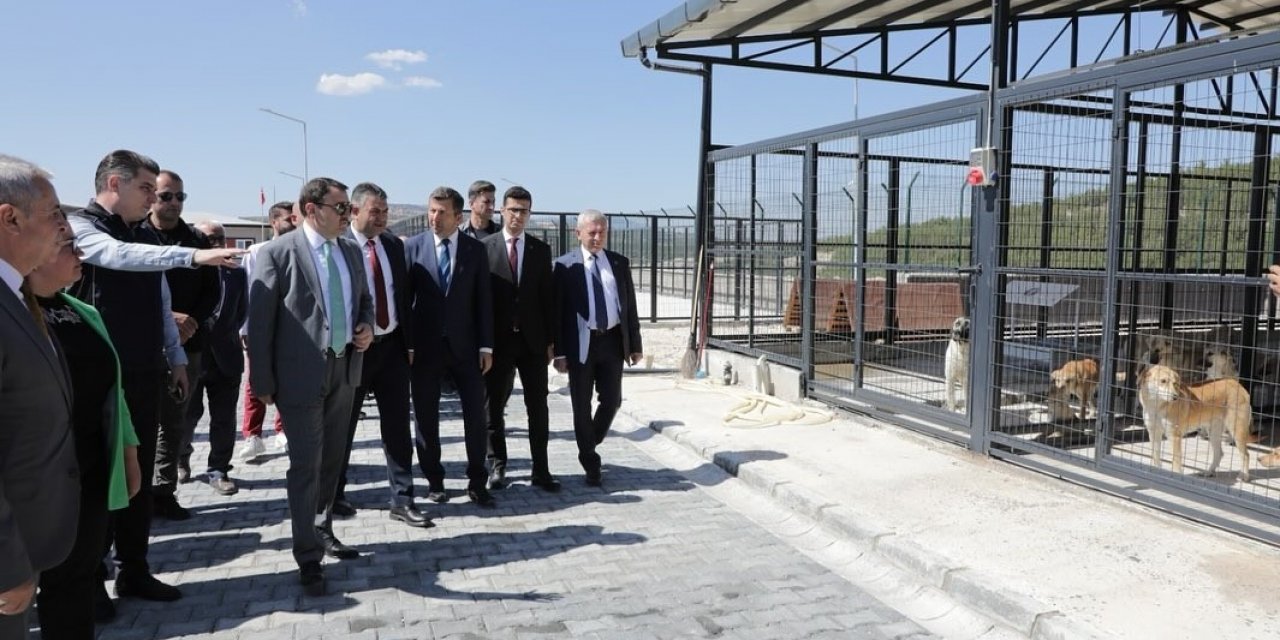 Kütahya Valisi Işın’dan Şaphane’de yapımı tamamlanan hayvan barınağında inceleme